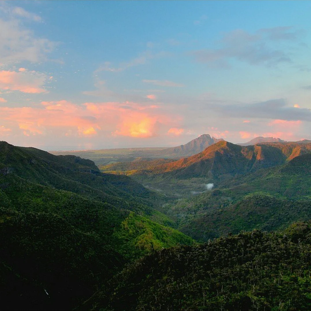 black-river-gorges-best-hike-mauritius.webp
