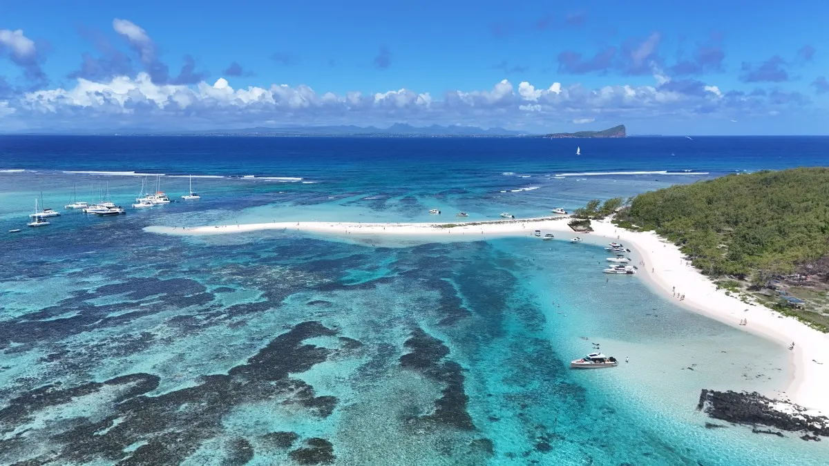 catamaran-ile-plate-in-mauritius-.webp