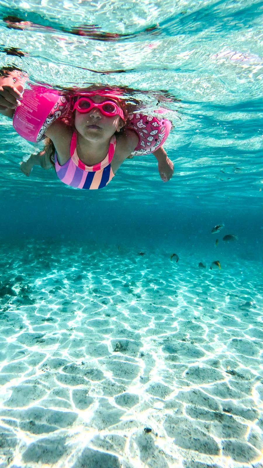 clear-water-at-ile-plate-turquoise-water-.webp