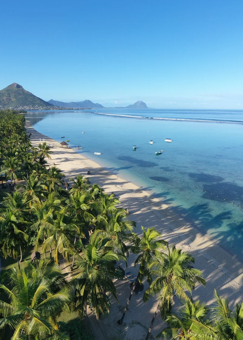 coconut-garden-in-mauritius--flic-en-flac-la-pirogue.webp
