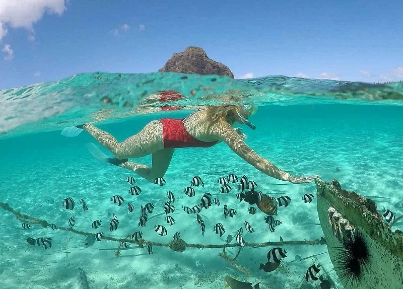 custom-itinerary-roadtrip-best-snorkeling-spots.jpg