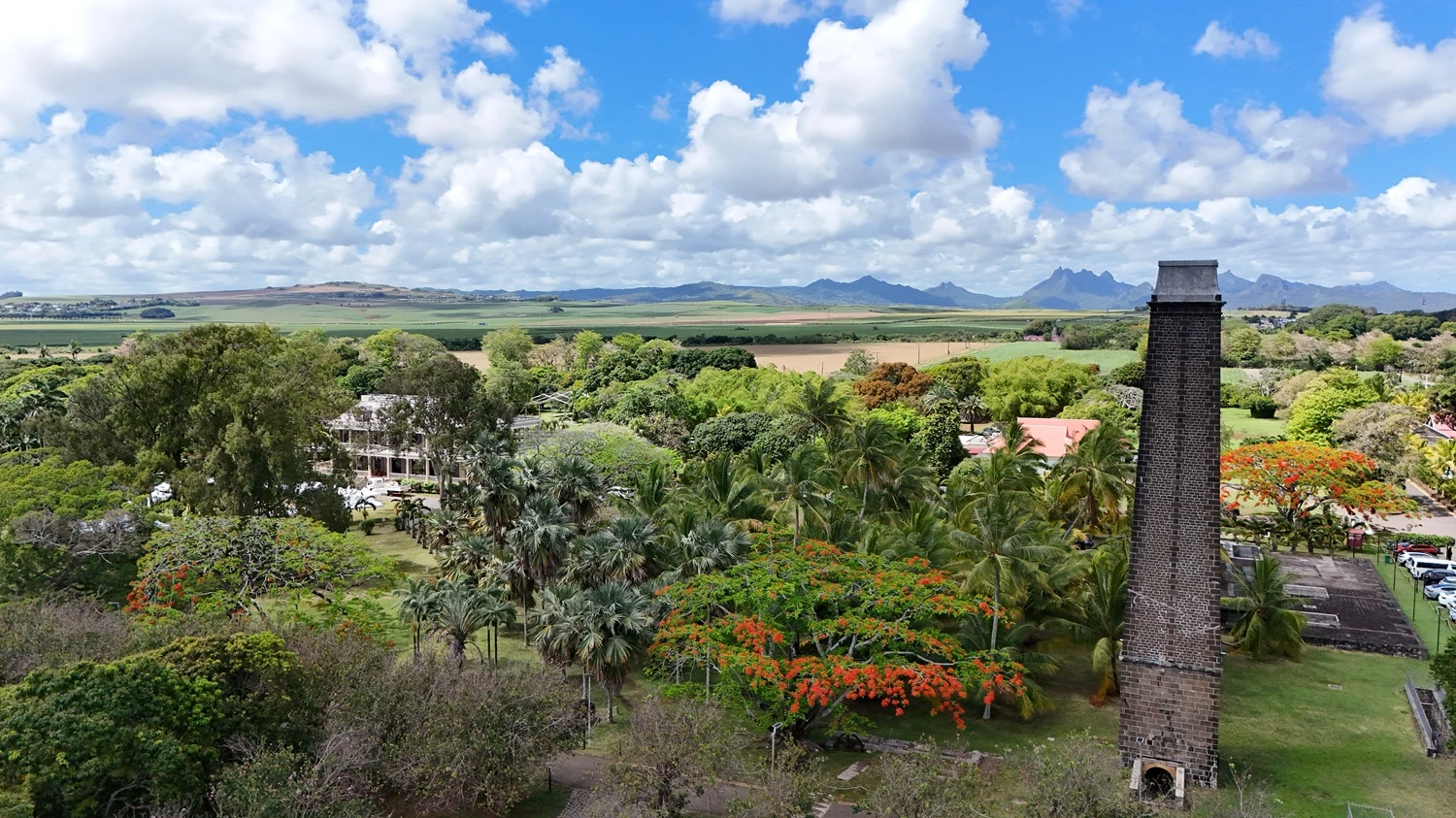 discover-mauritius-island.webp