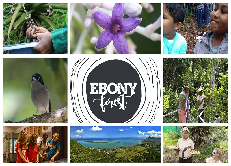 ebony-forest-park.webp