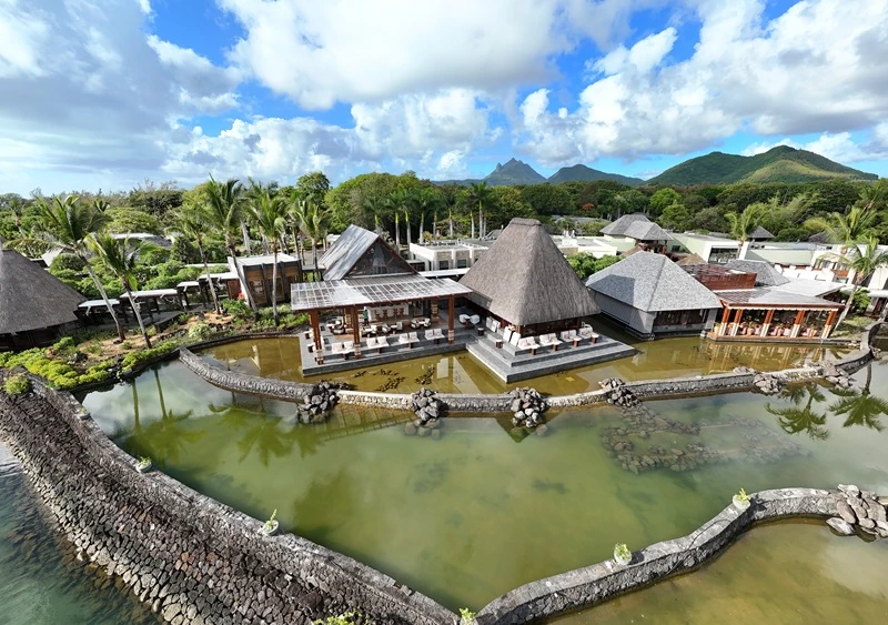 four-season-seagrass-mauritius.webp