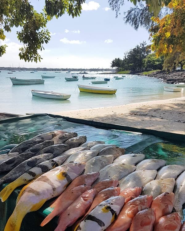 grand-baie-mauritius.jpg