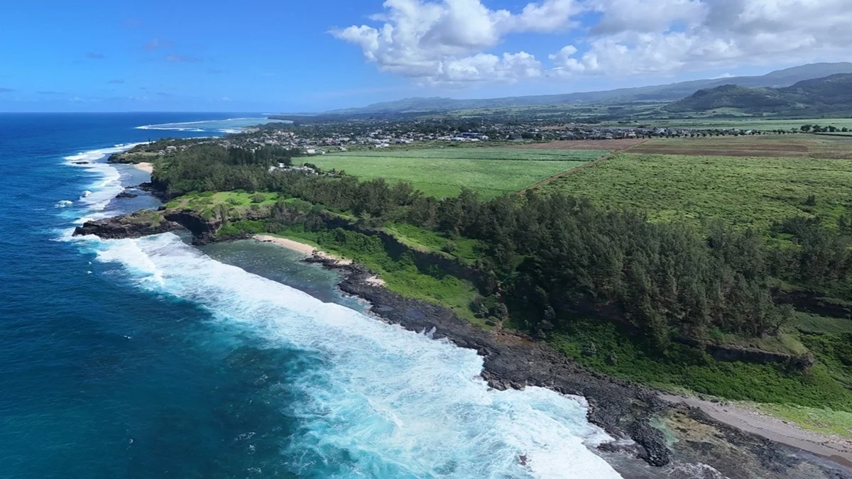 hiking-gris-gris-the-wild-south-in-mauritius-.webp