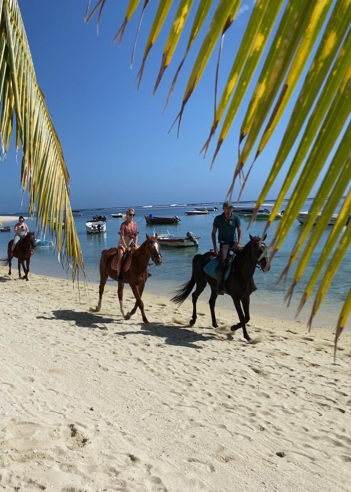 horse-riding-on-the-beach-at-le-morne-in-mauritius--haras-du-morne.jpeg