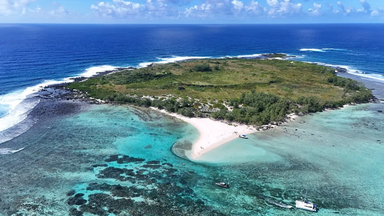 ile-plate-in-north-of-mauritius-.webp
