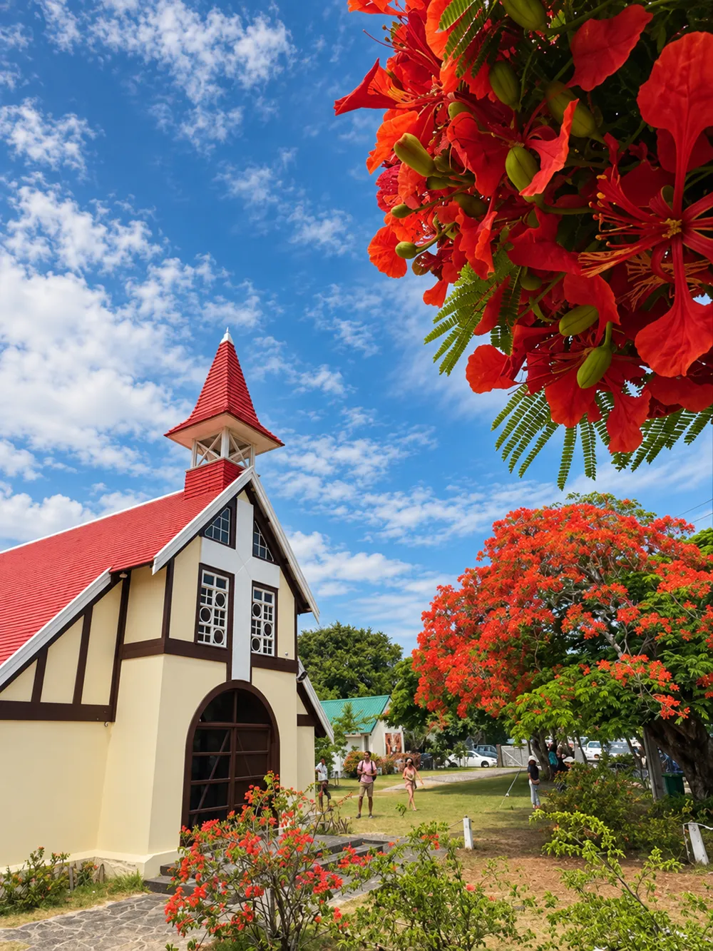 large-red-flamboyant-tree-standing-beside-green-sugarcane-fields-in-mauritius.webp