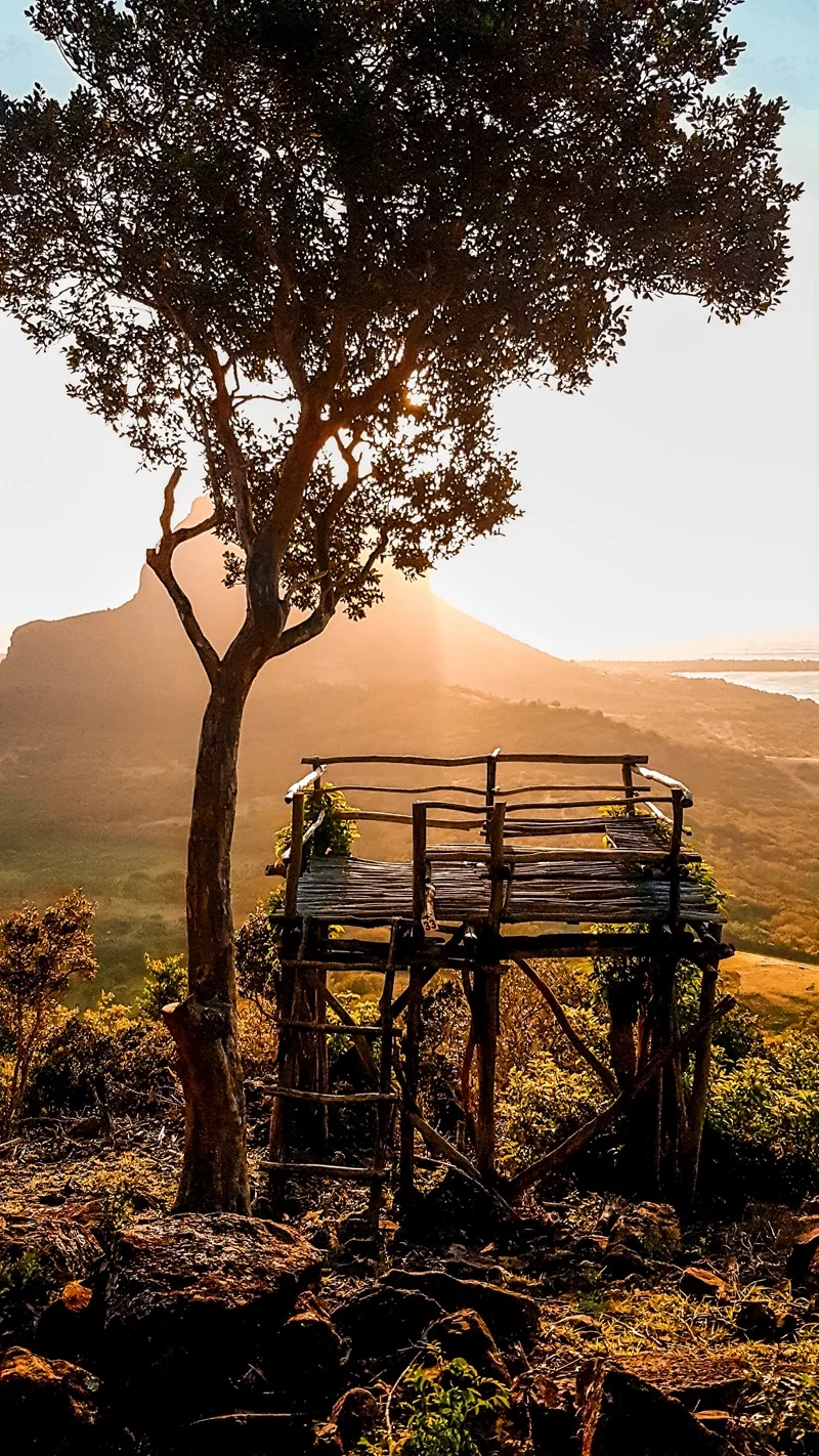 le-petit-morne-in-mauritius.webp