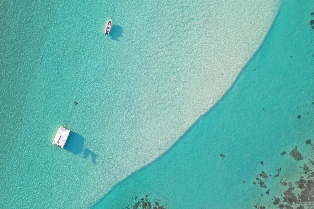 pointe-d-esny-in-mauritius.webp