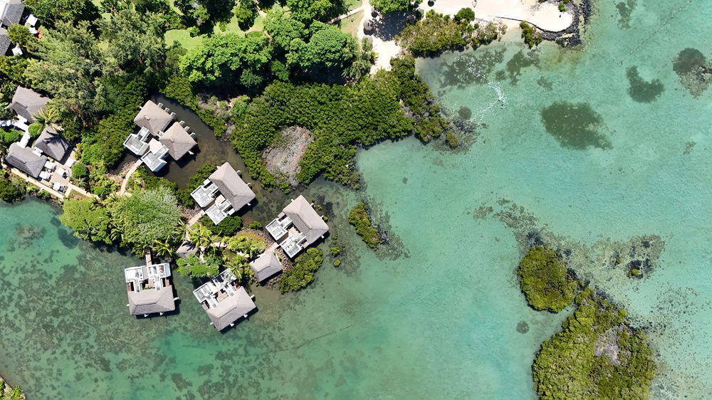 seagrass-in-mauritius-four-season.jpg