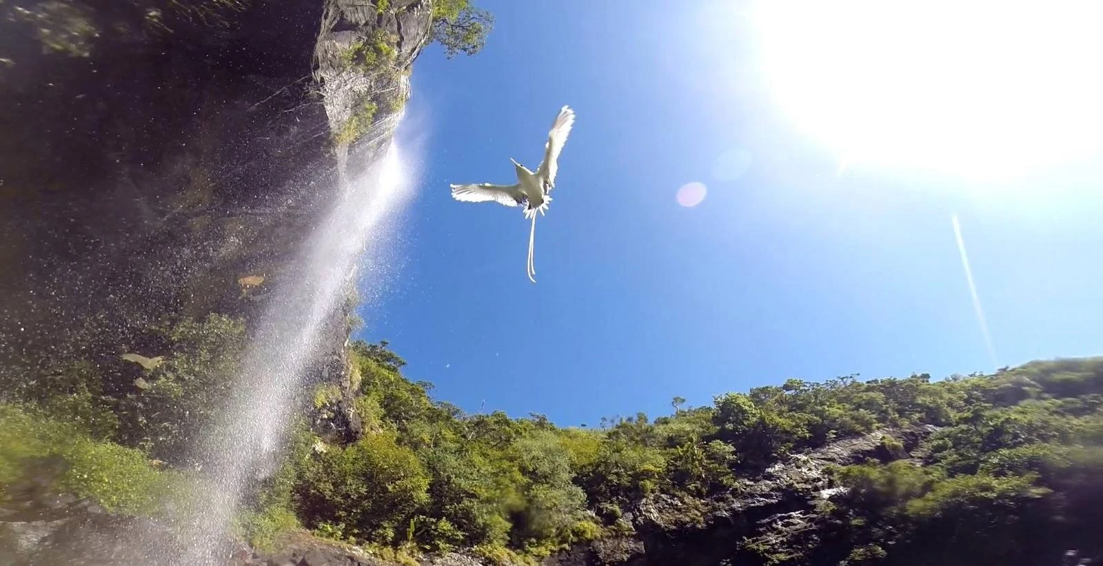 seven-waterfall-in-mauritius-.webp