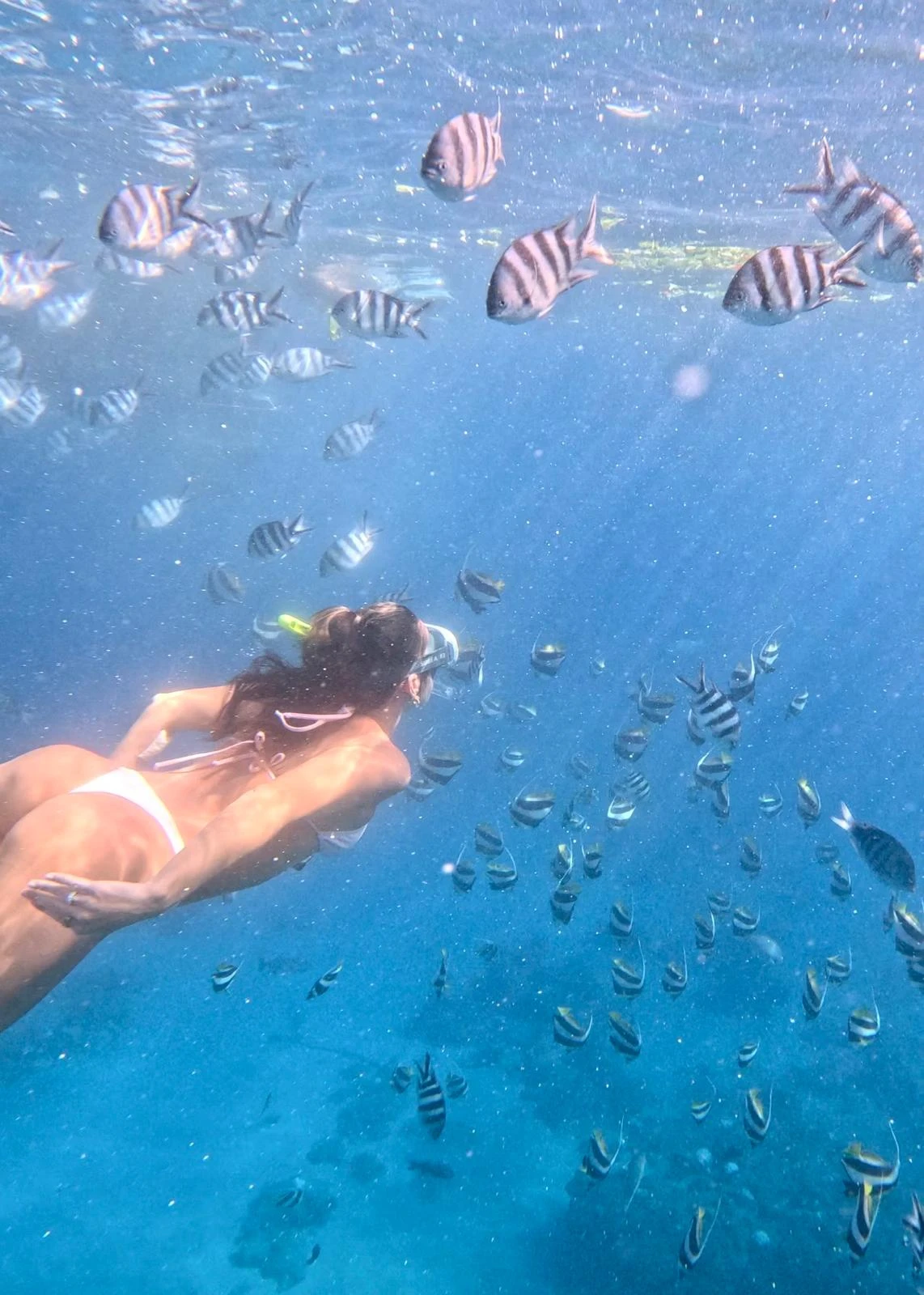 snorkelling-at-coin-de-mire-mauritius.webp
