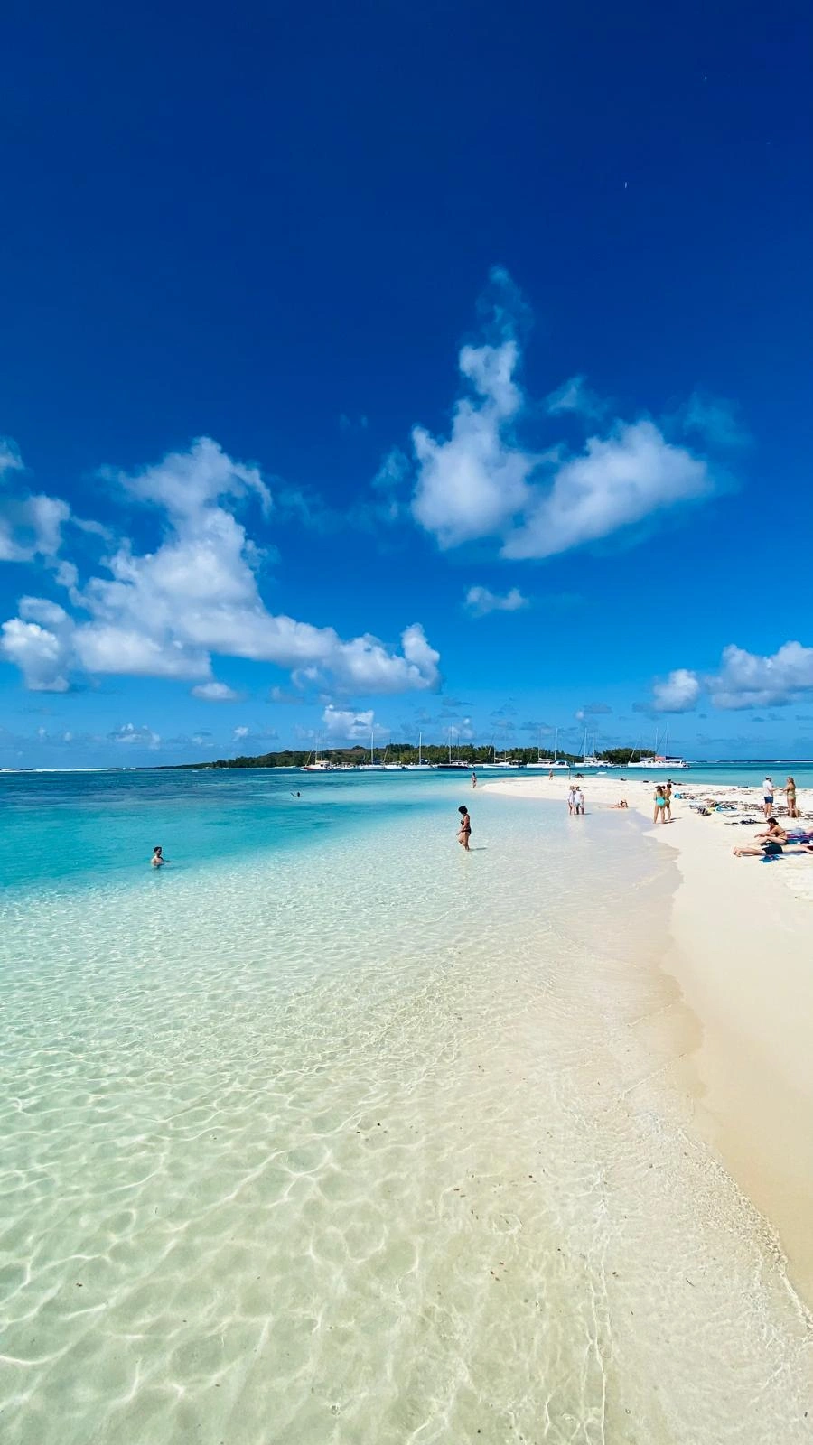 speedboat-tours-at-ile-plate-turquoise-water.webp