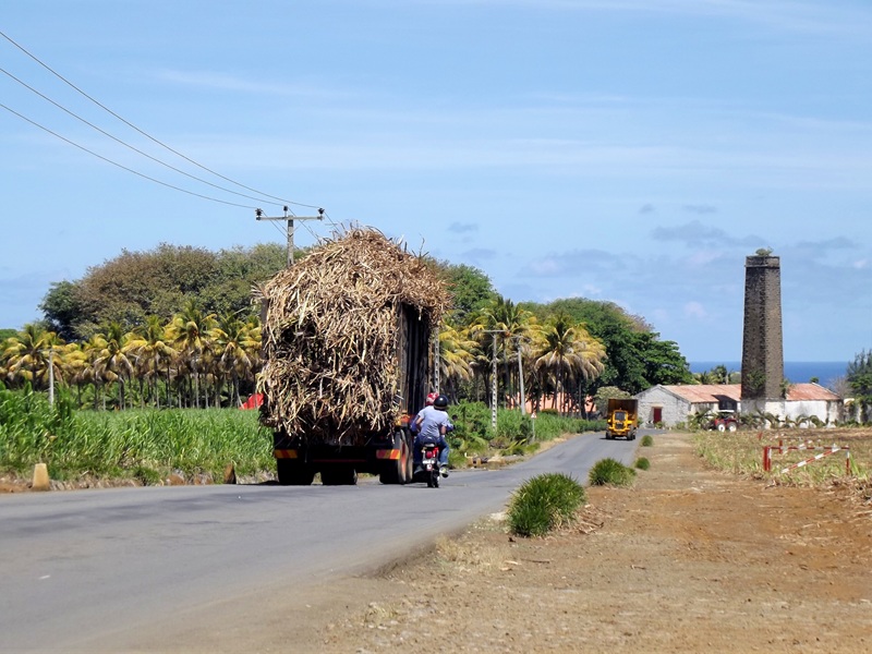 sugarcane-transport-in-mauritius.jpg