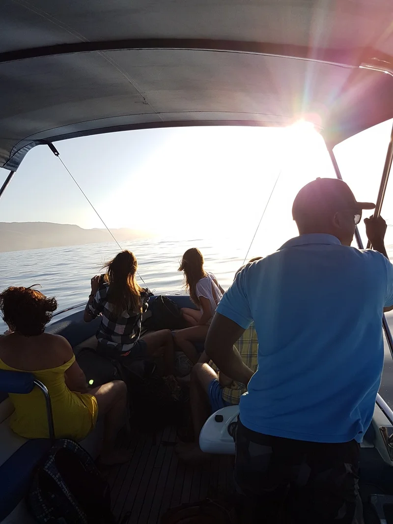 sunrise-boat-trip-to-see-dolphins-in-mauritius.webp