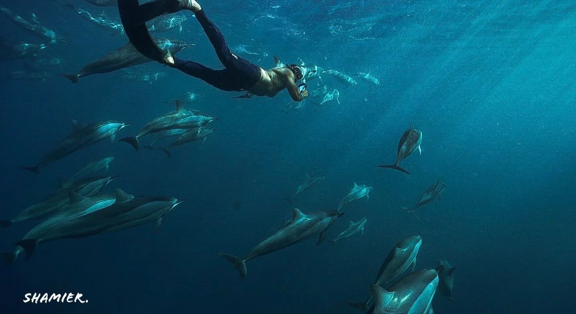 swimming-beside-dolphins-in-the-indian-ocean-mauritius.webp