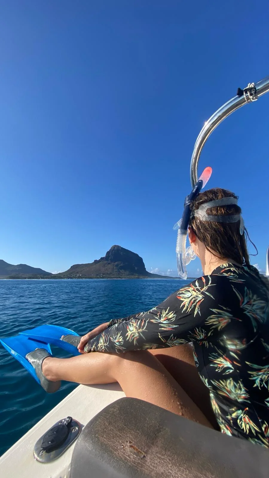 swimming-with-dolphins-near-le-morne-mauritius.webp