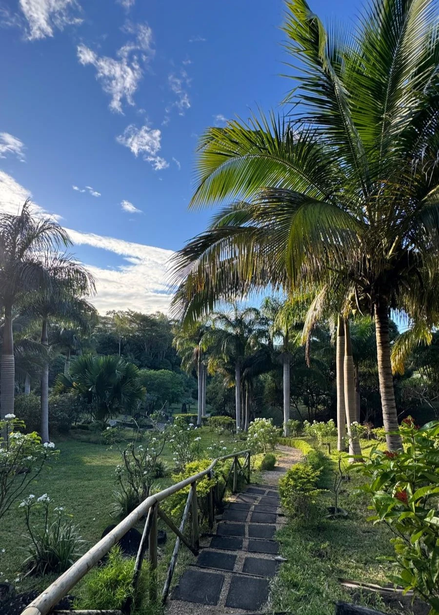 tropical-mountain-escape-at-lakaz-chamarel-mauritius.webp