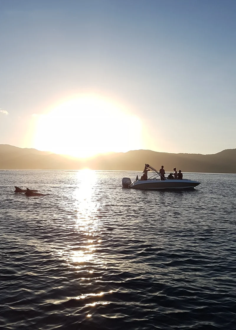 vitamin-sea-mauritius-dolphin-encounter-from-la-balise-marina.webp
