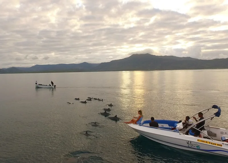 vitamin-sea-mauritius-ocean-adventure-with-dolphins.webp