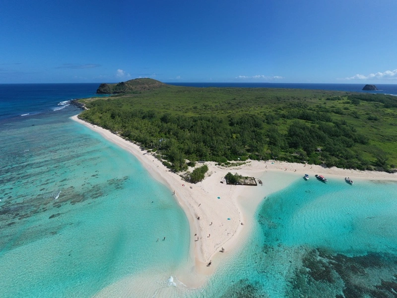 white-sand-beach-turquoise-water-in-mauritius.webp