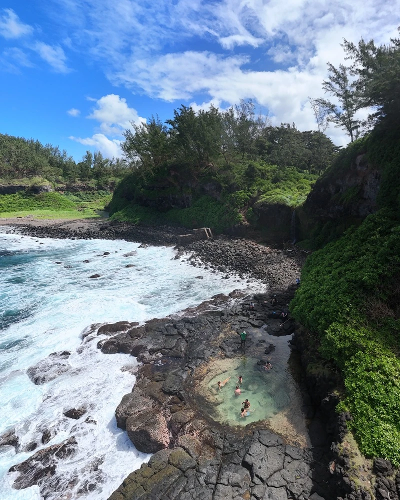 wild-south-of-mauritius.webp