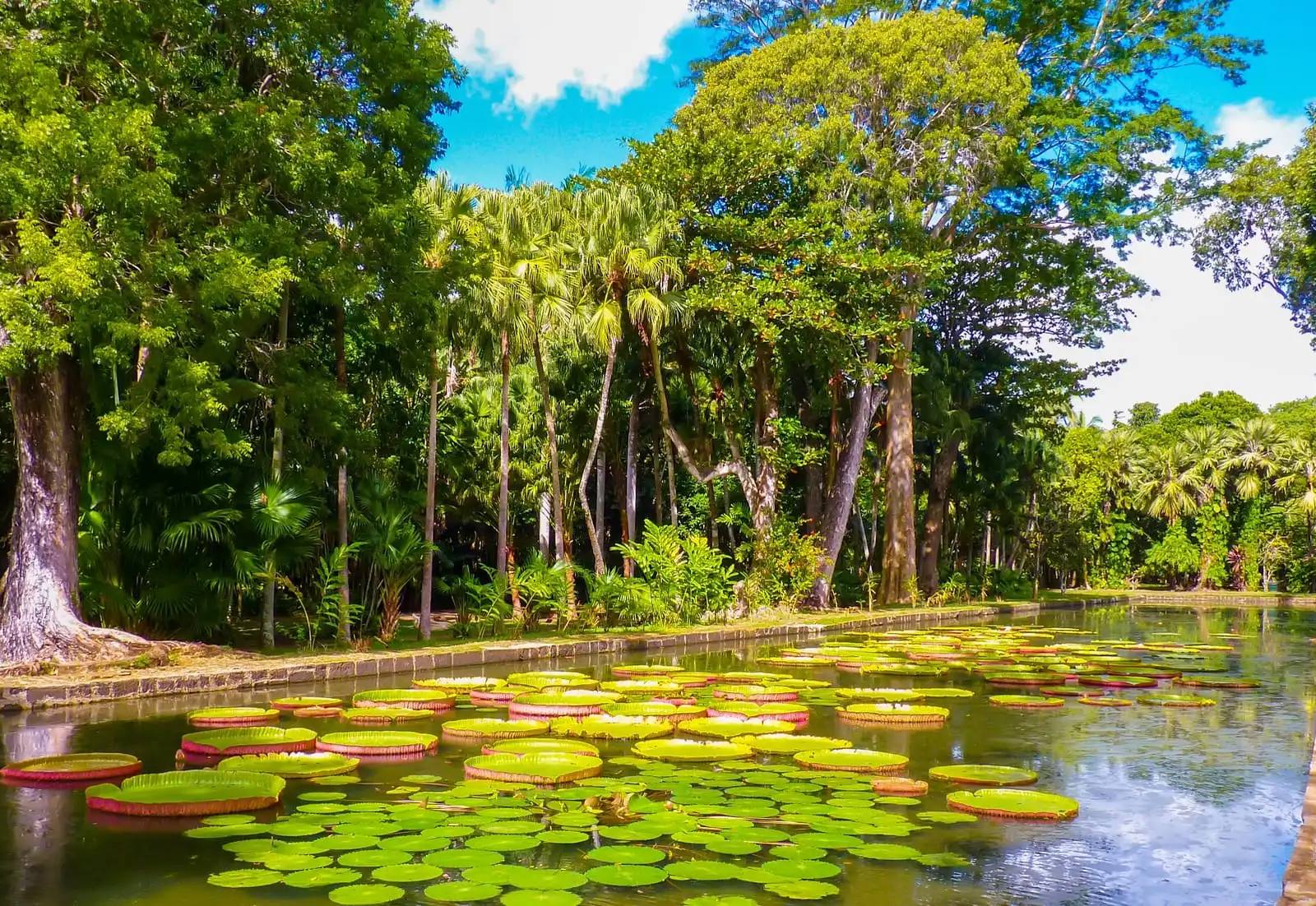 Mejores lugares para visitar en Mauricio