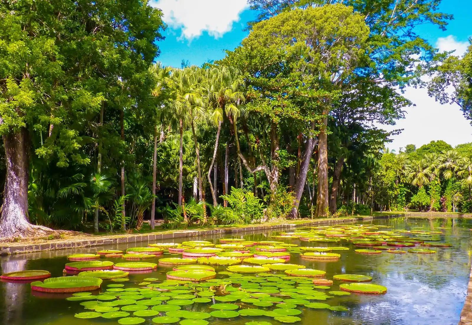 Best Places to Visit in Mauritius