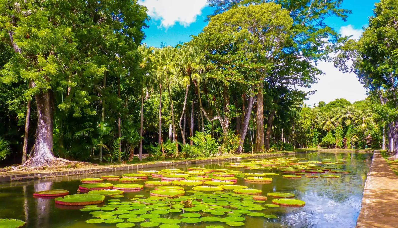 Best Places to Visit in Mauritius