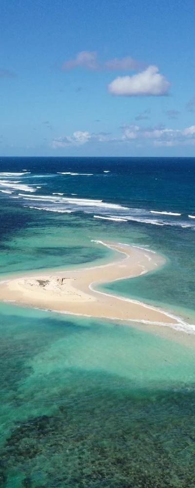 Ilot Flamants Beach photo 2