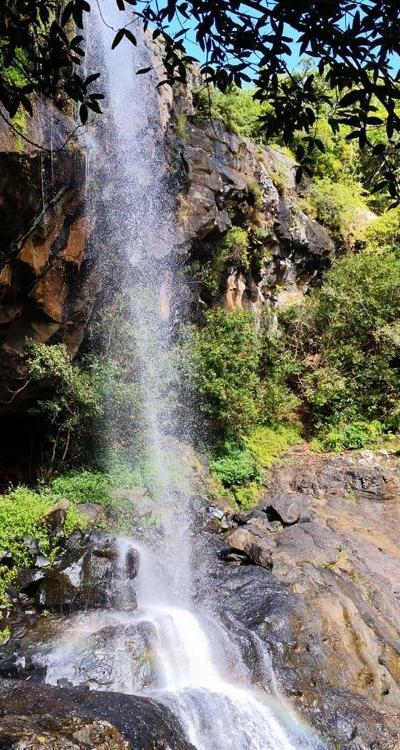 Chamarel Waterfall Beach photo 14