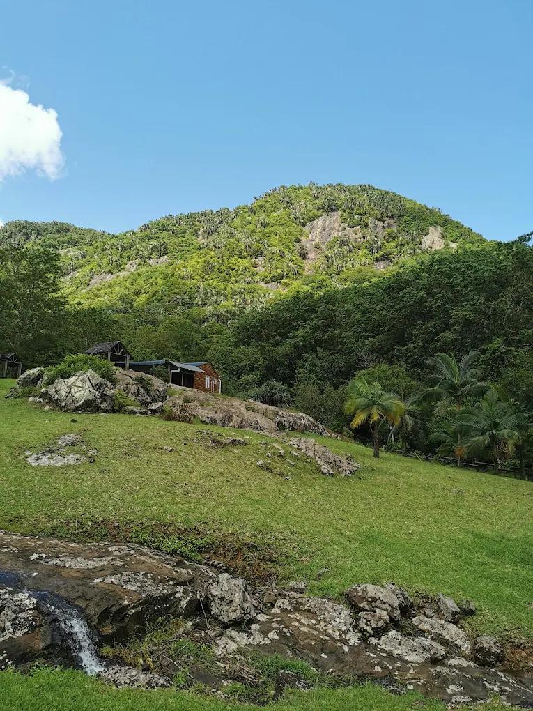 a-peaceful-forest-trail-winding-through-the-lush-endemic-vegetation-of-vall-e-d-osterlog--one-of-mauritius--lesser-known-nature-areas..webp