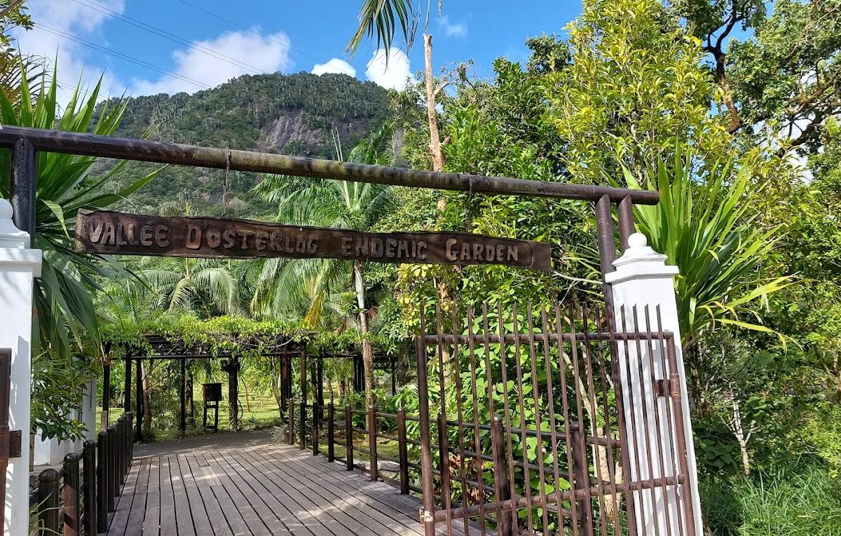 Mountain and forest scenery at Vallée d’Osterlog nature reserve in Mauritius