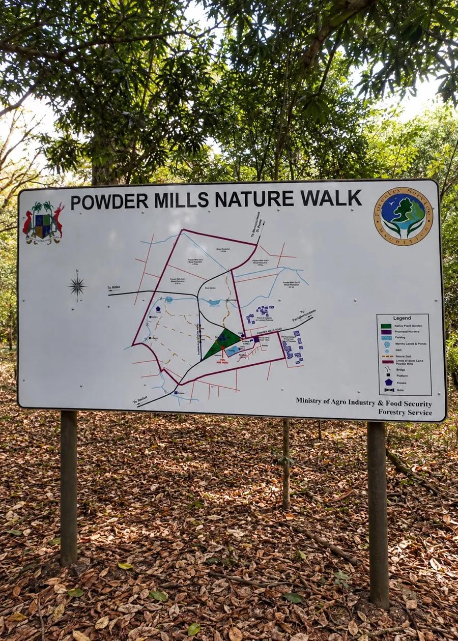 Tropical forest path at Powder Mills Nature Walk Mauritius