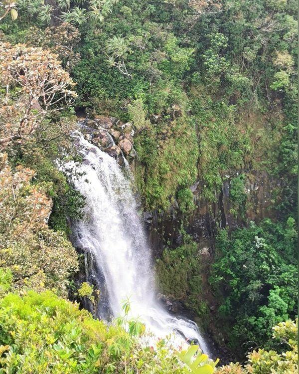 Alexandra Falls : Viewpoint, Parking & Photos