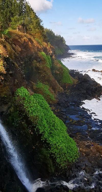 Andrea Lodge Hike Beach photo 4