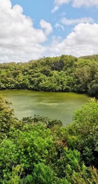 Bassin Blanc Beach photo 1