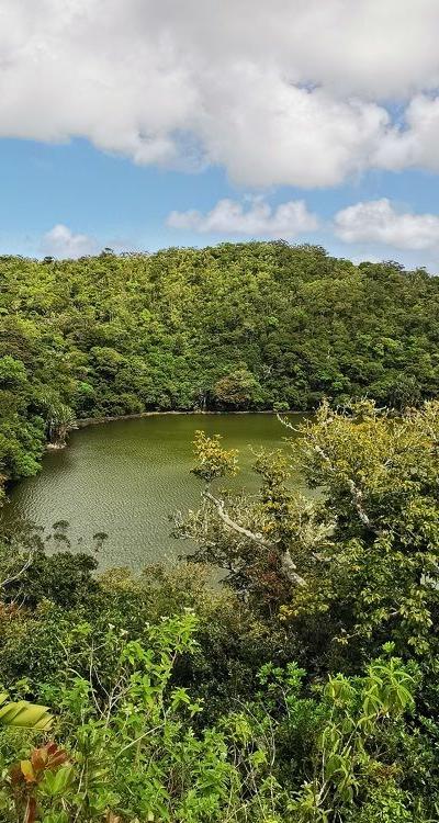 Bassin Blanc Beach photo 2