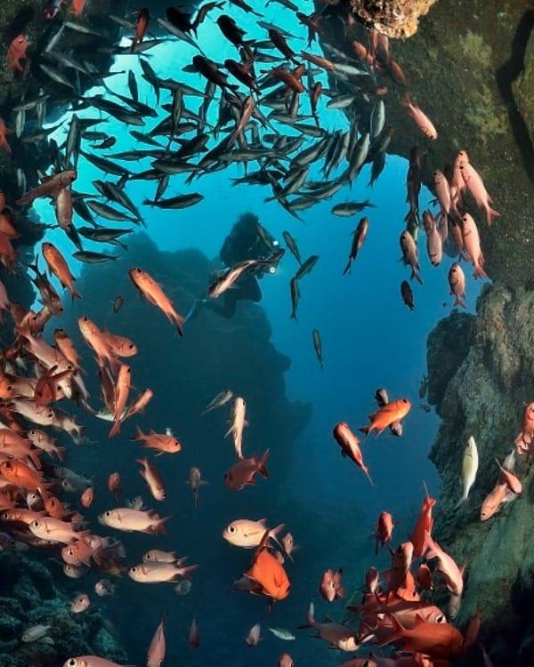 Scuba Diving - Various Location