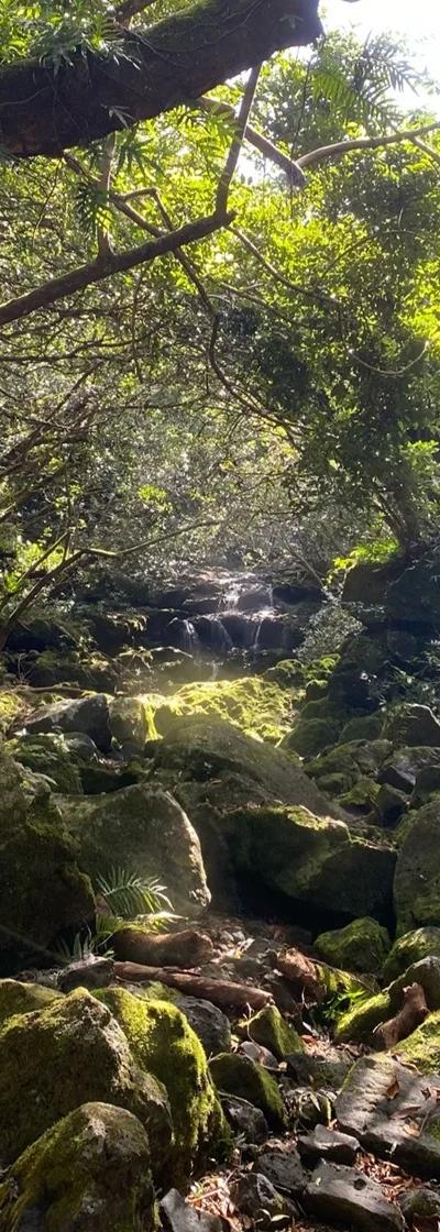 Eau Bleu Waterfall Mauritius - exact Location Beach photo 4
