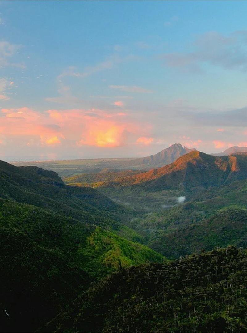 black-river-gorges-best-hike-mauritius.webp