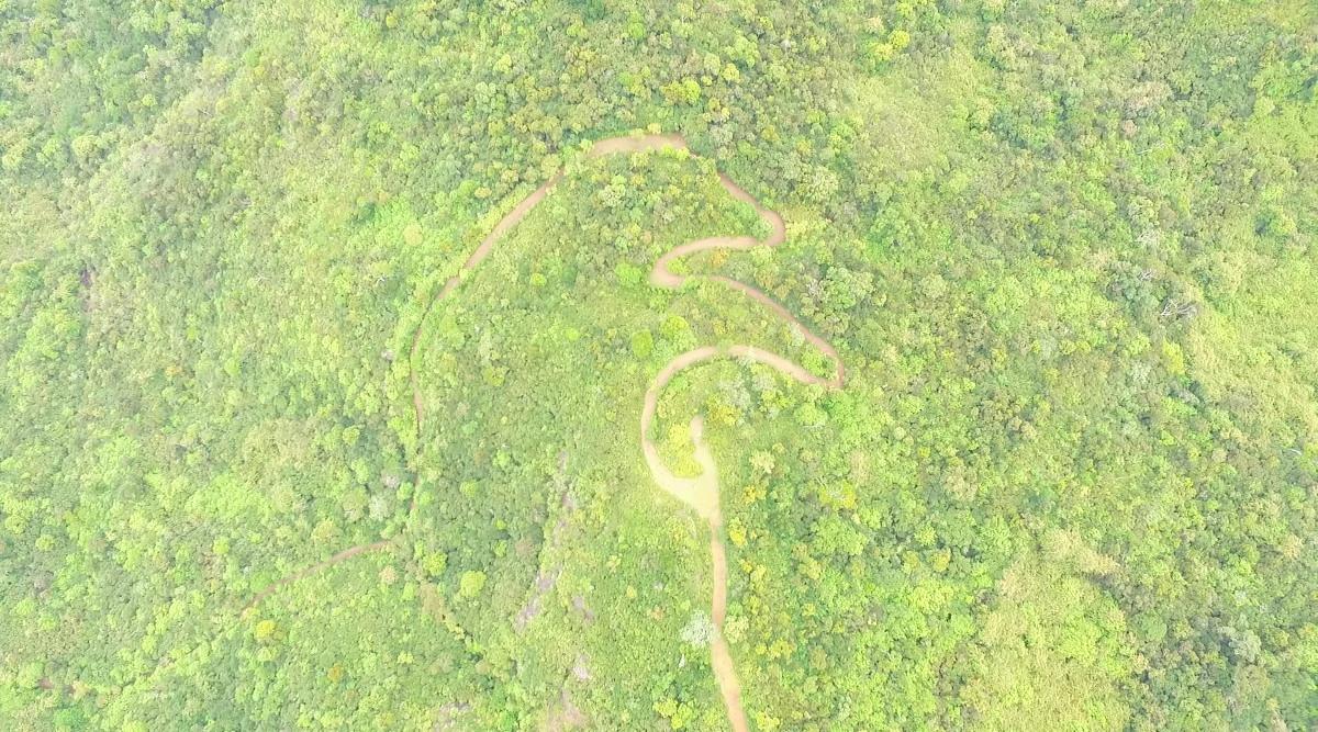 Senderismo en el Parque Nacional de Black River Gorges en Mauricio a través de exuberante bosque tropical con rutas de montaña y vegetación endémica