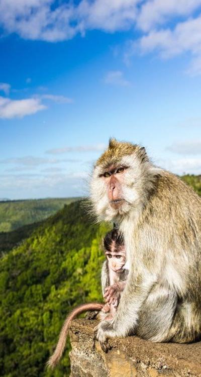 Black River Gorges View Point Beach photo 3