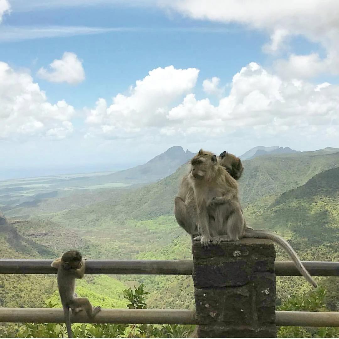 Black River Gorges View Point