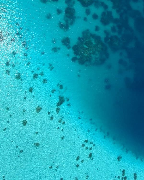 Blue Bay Beach Mauritius, one of the best places for snorkelling, swimming and discovering colourful marine life.
