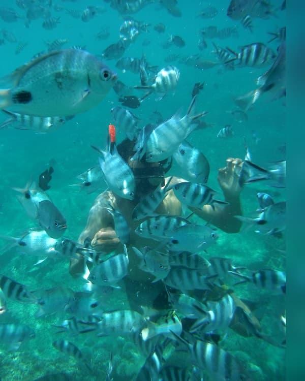 Blue Bay snorkelling experience Mauritius, perfect for families, couples and travellers who love marine life.