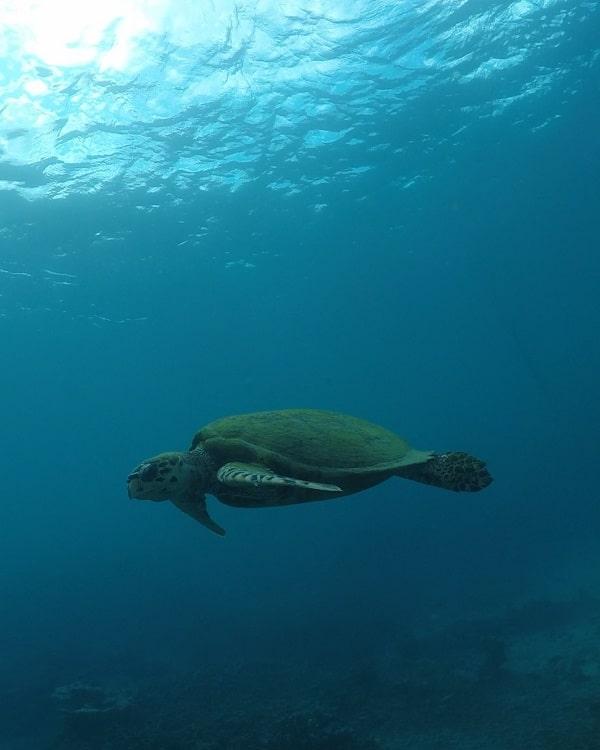 Blue Bay Marine Park
