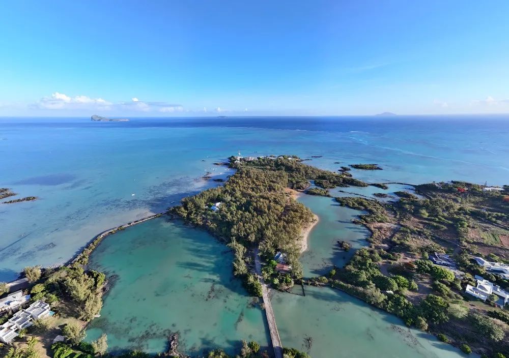butte-a-lherbe-in-mauritius-.webp